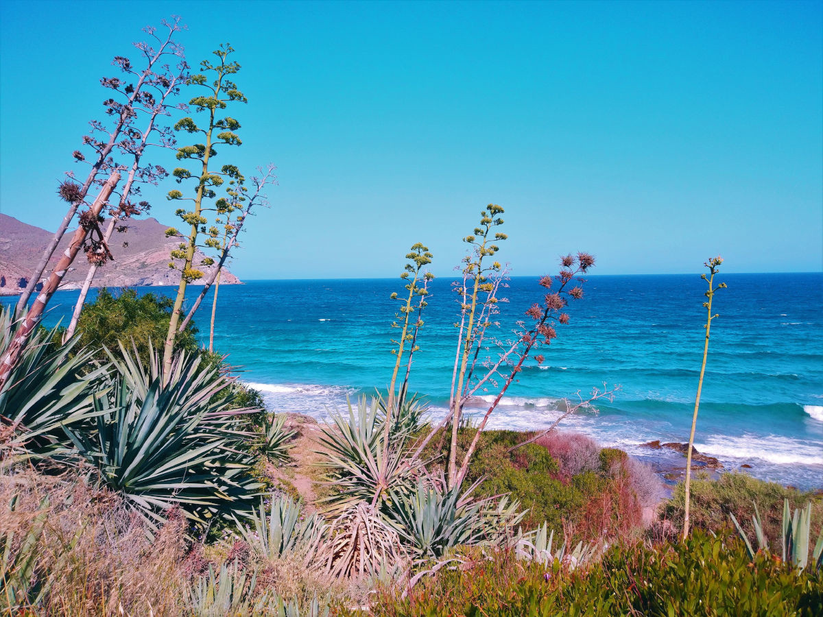 Сан-Хосе Город